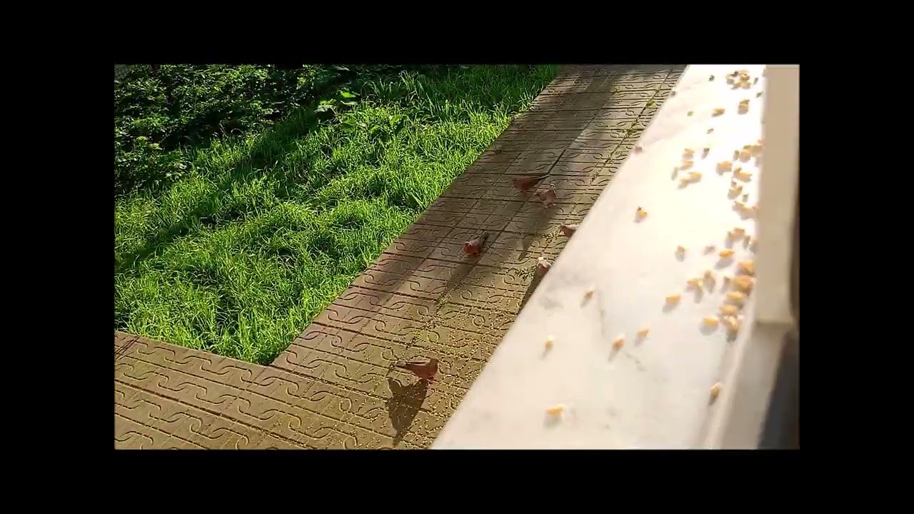 bu gün balkonda hareket az