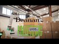 Deanan Palletizer Case Study