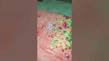 not a loop | cube 3by3 amazing trick | pyraminx cube@KingofCubers #howtosolvecube #shorts #cube