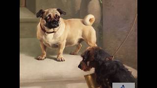 Pug & Terrier