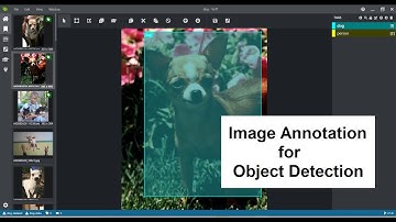 Image Annotation | Object Detection |  Microsoft/VoTT