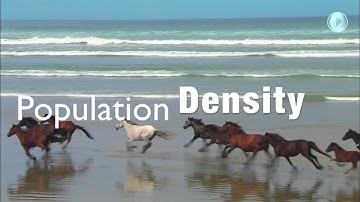 Population dynamics intro