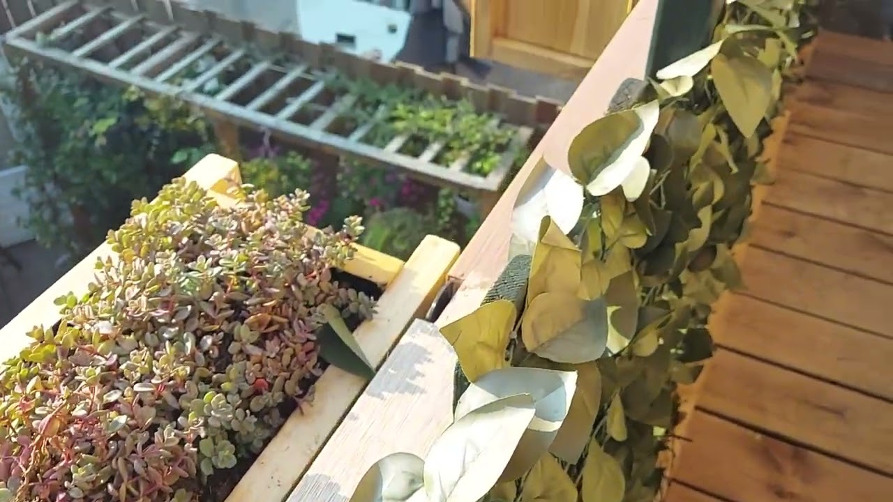 Vieze balk oppimpen 5