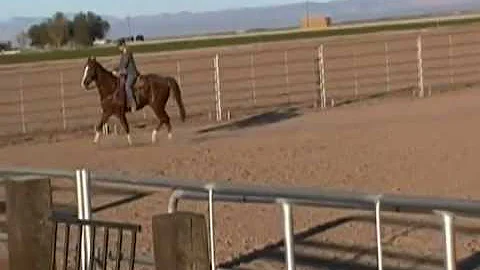 Piper-practice run