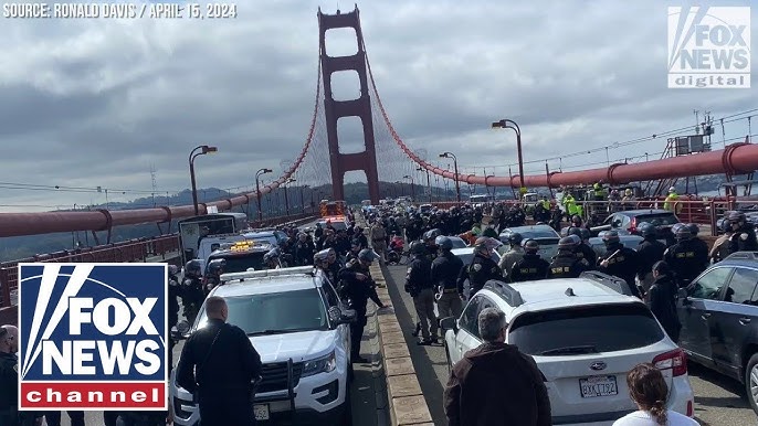 Driver Trapped On Bridge Says Anti Israel Protesters Must Face Repercussions