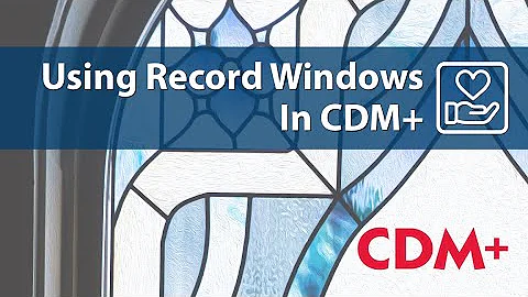 Using Record Windows in CDM+