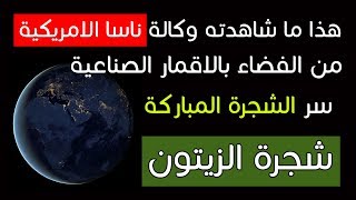 اعجاز علمي عظيم  في زيت الزيتون -الشجرة المباركة التي اقسم الله تعالى بها - وأراء وكالة ناسا