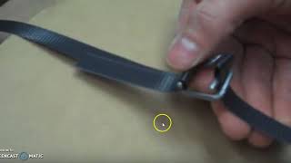 Plastic strapping and buckle