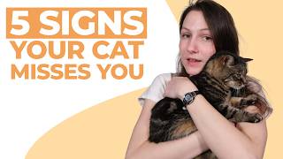 Do Cats Miss Their Owners? by Cats 22,303 views 3 months ago 8 minutes, 16 seconds