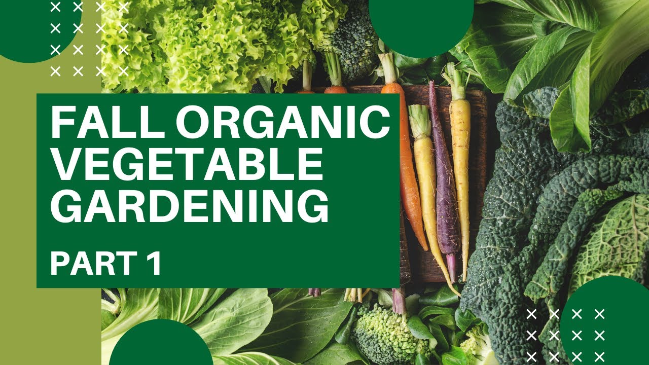 Fall Organic Vegetable Gardening Class, Part 1 YouTube