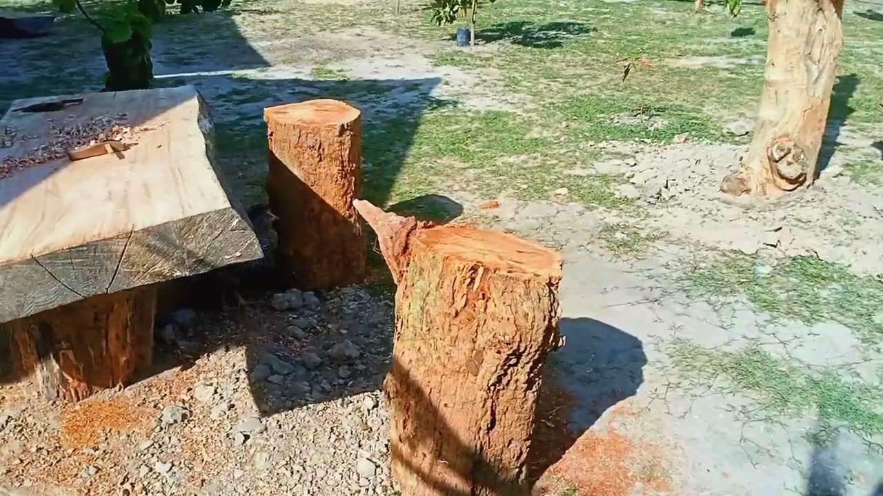 Ternak ayam penelur- sambil hidupkan suasana yang kita nyaman. Cuma proses perlukan kesungguhan 💪 