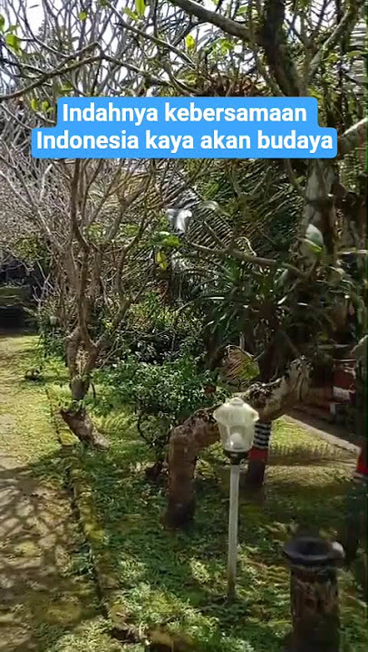 Indahnya kebersamaan |Indonesia kaya budaya #budayaindonesia #budayanusantara #budayabali