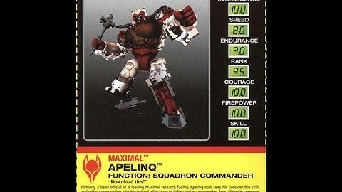 Transformers Toy Review - Botcon 2000 Apelinq