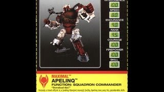 Transformers Toy Review - Botcon 2000 Apelinq
