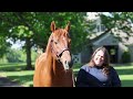 Breeders' Cup Hands on History: Gun Runner and Three Chimneys Farm