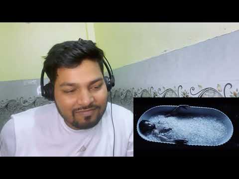 Desi Bandaa Reacts on द फॉल गाय (THE FALL GUY) | Official Hindi Trailer 1 (Universal Studios) - HD