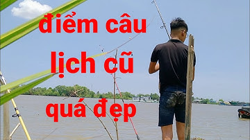 điểm câu cá đẹp quá,câu cá út, cá ngát,cá đù sông tận tập cần giuộc