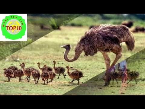 OurTime.com Review - Online Dating from YouTube · Duration: 3 minutes 26 seconds OurTime.com Review - Online Dating from YouTube · Duration: 3 minutes 26 seconds