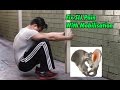 FIX Sacroiliac Joint Pain With Mobilisation/ Decompression Exercises (SIJ PAIN)