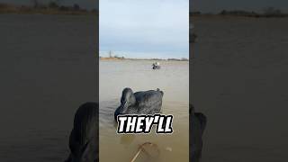 Im Screwed If My Decoys Ever Learn To Talk