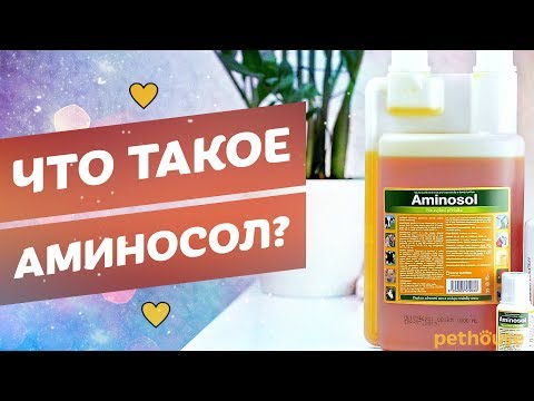 Vídeo: Aminosol-Neo - Instruções De Uso, Indicações, Doses, Análogos