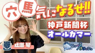 【神戸新聞杯&オールカマー】成瀬琴が穴馬をピックアップ!