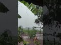 #chuva #nature #rain #storm #tempestade #repost #naturezasurpreendente #sompararelaxar #asmr #shorts