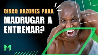 5 RAZONES PARA MADRUGAR A HACER TU RUTINA DE EJERCICIOS