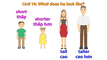 Unit 14: What does he look like? | Tiếng anh lớp 4