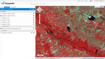 Satellite imagery archive within GIS in the Cloud