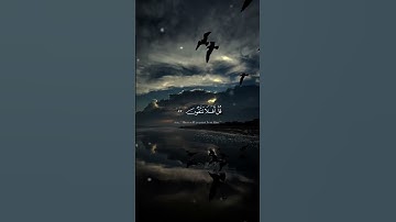 اذكرو الله قدرو تعبي بأكسبلور #تلاوة #تلاوة #قرآن القرآن_الكريم # خاشعة محمد_اللحيدان #quran