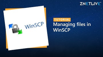 Managing files in WinSCP