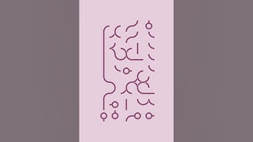 Loop Infinity level 141 - 145