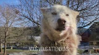 Les bonnes raisons de venir dans le Val de Mouthe - Chapelle-des-Bois