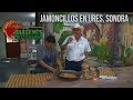 IMÁGENES DEL CAMPO, JAMONCILLOS DE URES SONORA