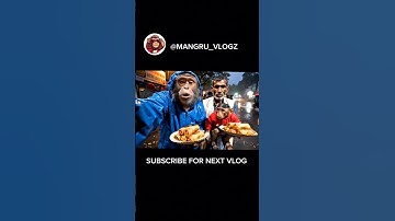 Monkey vlog | Monkey ai vlog | Day 1 vlog #monkey vlog #Ai #ai video