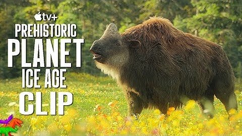 Elasmotherium Being Peaceful For 4 Minutes | Prehistoric Planet: Ice Age | OFFICIAL CLIP