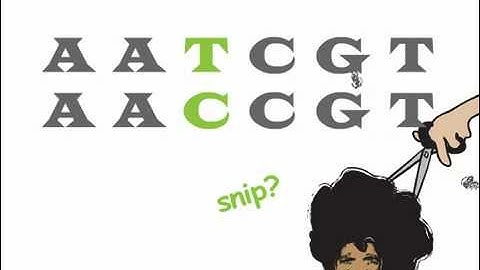 Genetics 101 (Part 2 of 5): What are SNPs?