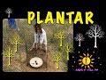 Plantar árboles con waterboxx (Groasis - Accreviri) - Amor y Vida TV 150