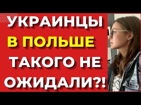 Украинские беженцы в Польше ТАКОГО НЕ ОЖИДАЛИ?! Изменения в Польше в ноябре. Польша приняла решение
