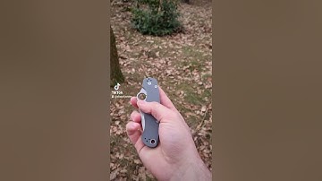 my Paramilitary 2 Maxamet from selected knives arrived it came razor sharp and buttersmooth.