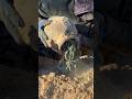 Treasure Hunting Jar full of gold by metal detector #treasurehunt #metaldetecting #XHunter