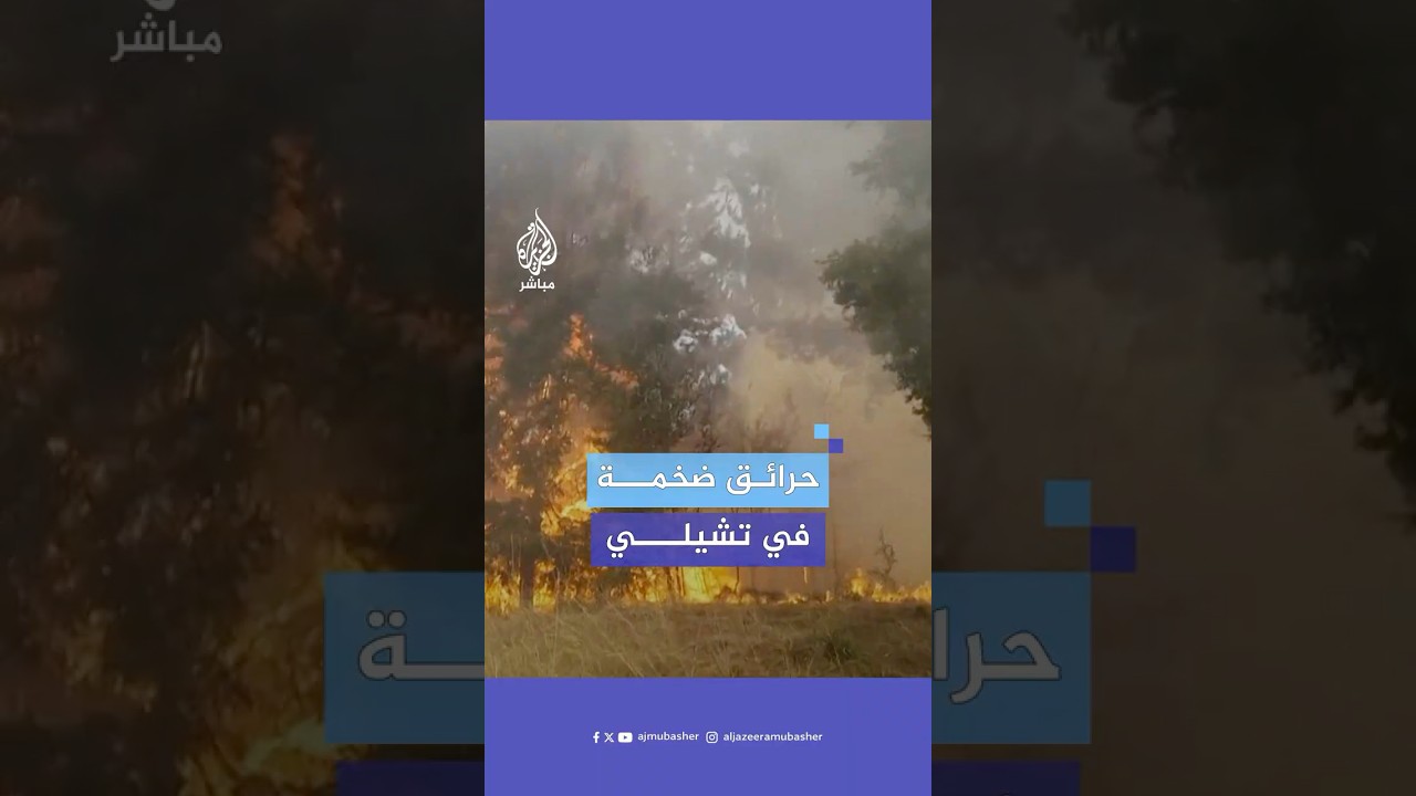 مع تأجيج الرياح للنيران.. جهود مكثفة للسيطرة على حرائق الغابات في تشيلي