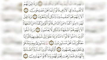 سورة البقرة الآيات ١١-١٦ .. مكررة ٢٠ مرة لتسهيل الحفظ