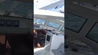 Sailing Hawkeye 439-10 in 15-20 knots with main and self tacking jib