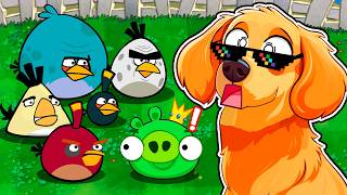 FUSIONÉ a los PAJAROS de Angry Birds!!!