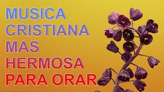 Musica Cristiana para Dar Gracias a Dios - La Cancion Cristiana mas hermosa del mundo