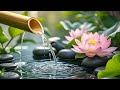 Relaxing Music • Water Sounds 🌺 Relieving Anxiety , Calm Your Heart | Heavenly Water