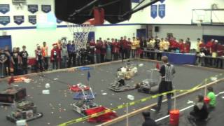 Final Round at Bunny Bots