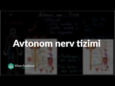 Video: Avtonom tizim nima?